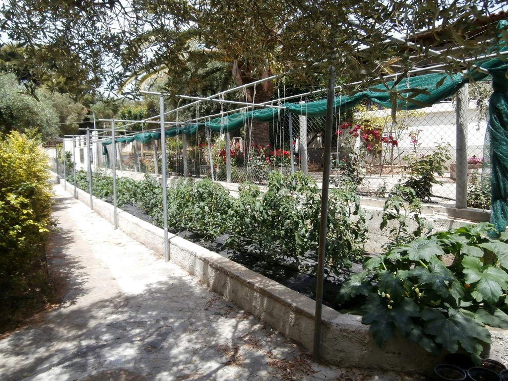 Olive House Apartment Elia Nikitis Ngoại thất bức ảnh