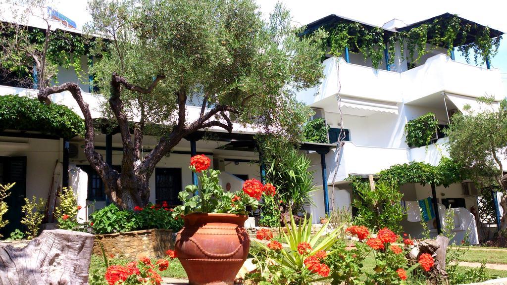Olive House Apartment Elia Nikitis Ngoại thất bức ảnh